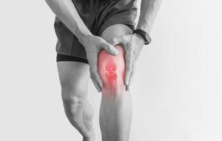 Colágeno tipo 2, tu aliado para unas articulaciones fuertes y saludables