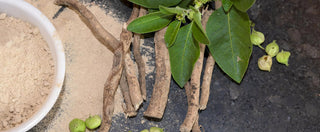 La raíz antiestrés: qué es la ashwagandha y cómo normaliza los niveles de cortisol