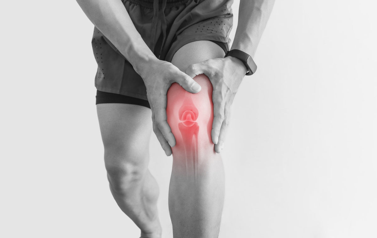 Colágeno tipo 2, tu aliado para unas articulaciones fuertes y saludables