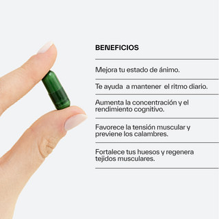 Magnesio Completo