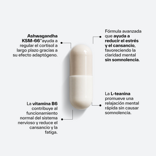 Ashwagandha KSM-66® + L-Theanine