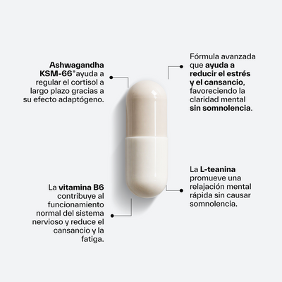 Ashwagandha KSM-66® + L-Theanine