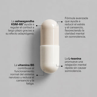 Ashwagandha KSM-66® + L-Teanina