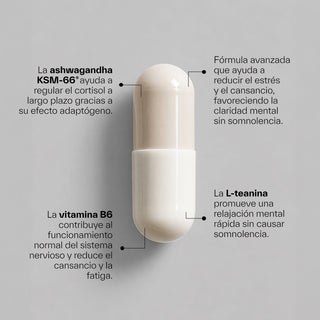 Ashwagandha KSM-66® + L-théanine