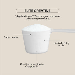Creapure® Creatine Monohydrate