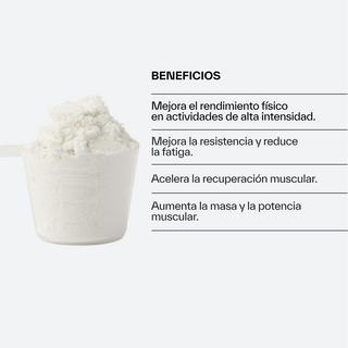 Creapure® Creatine Monohydrate