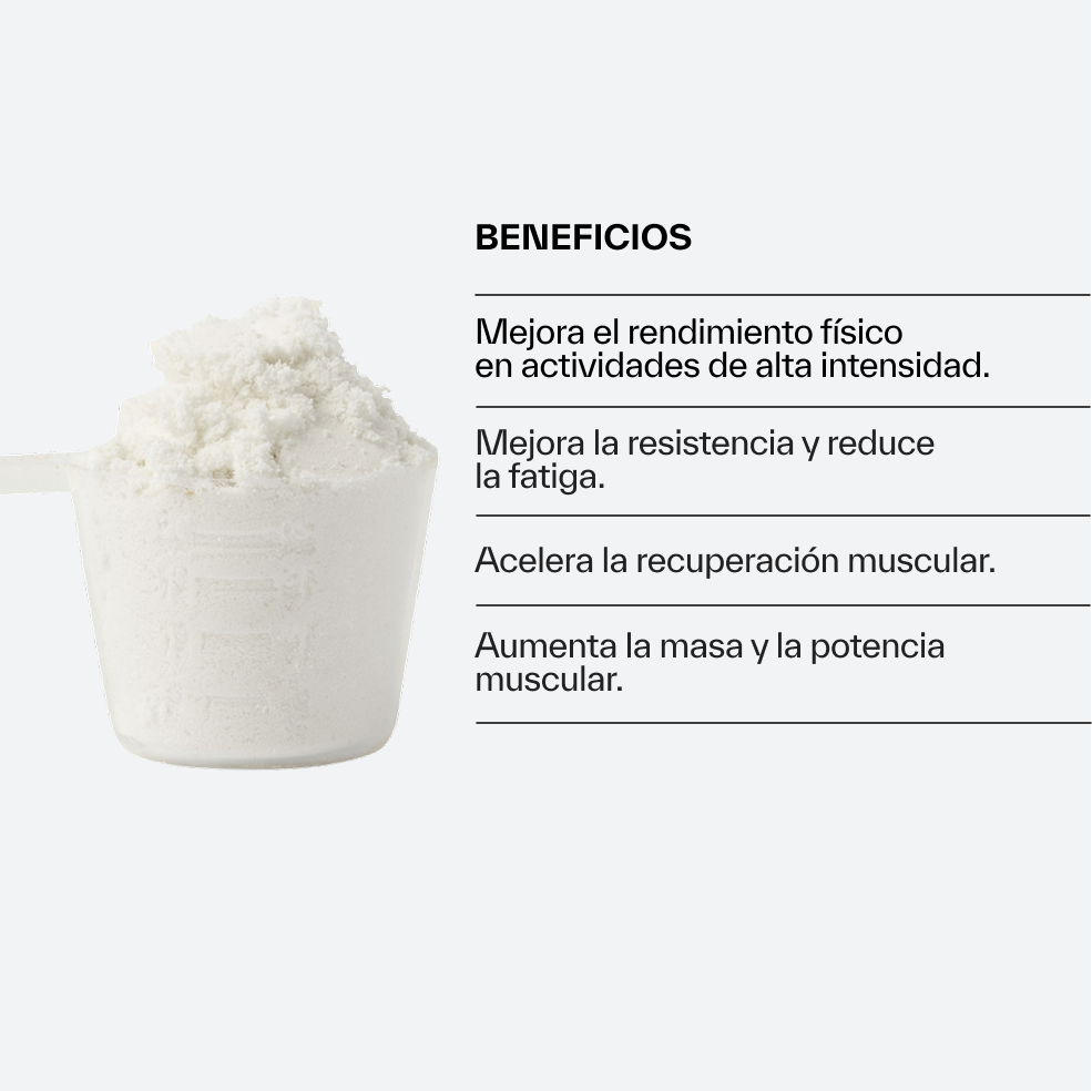 Creatina Monohidrato Creapure®