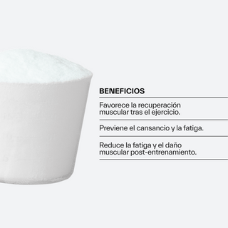BCAA 2:1:1 Glutamine Goût baies de forêt