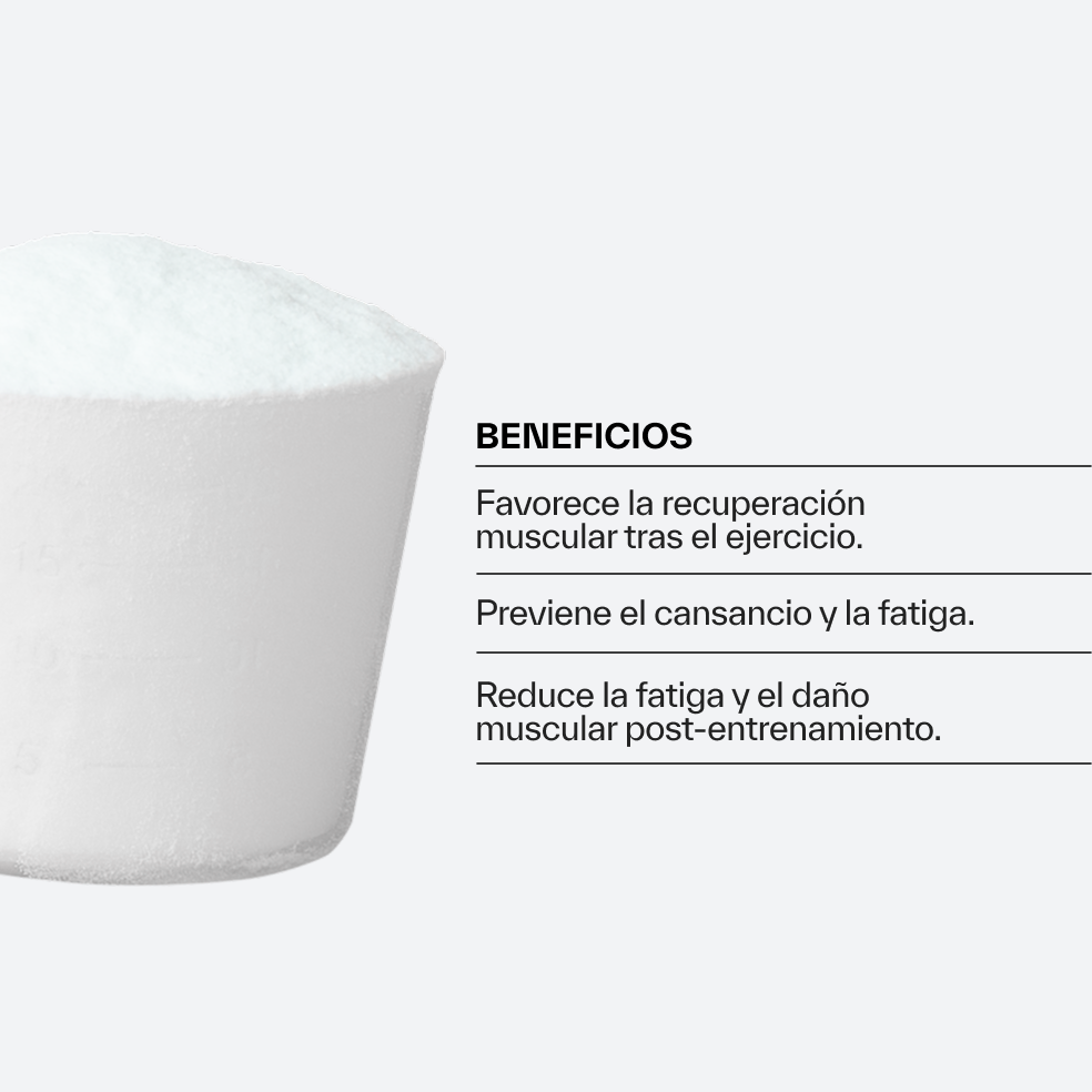 BCAA 2:1:1 Glutamina Sabor Frutos del Bosque