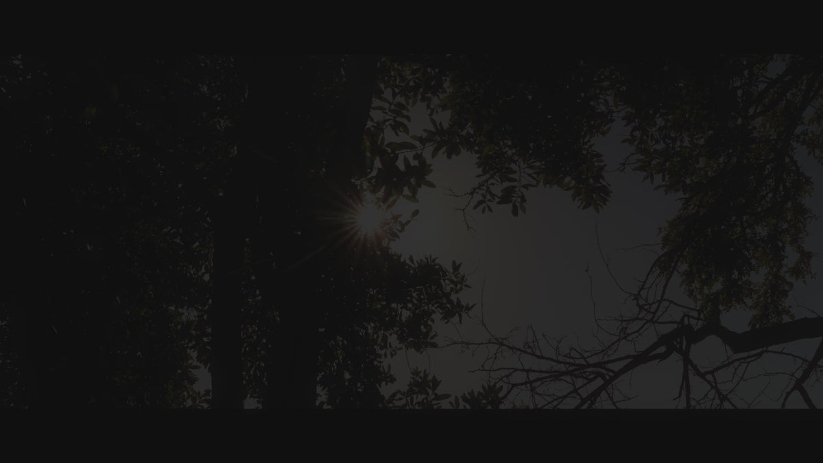 Cargar video: 